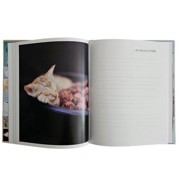 My Cat Record Book By Rachael Hale | Hardcover | NWT | Brown Red - Picture 8 of 16